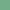 Stokes Forest Green2035-40